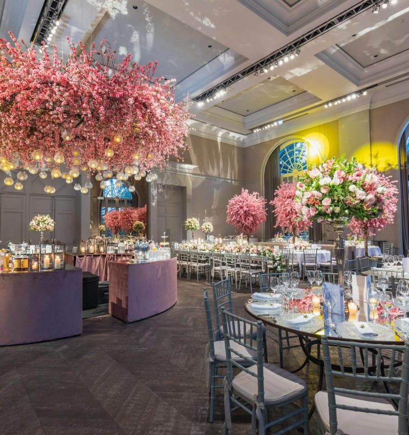 pexels-bertellifotografia-17023016 (1)